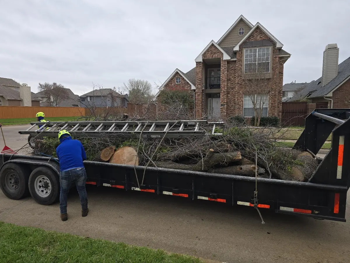 Expert Tree Fertilization with proper safety equipment in Noonan